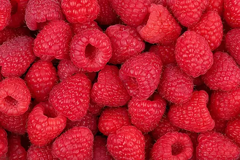 shop-cta-img-3 raspberries