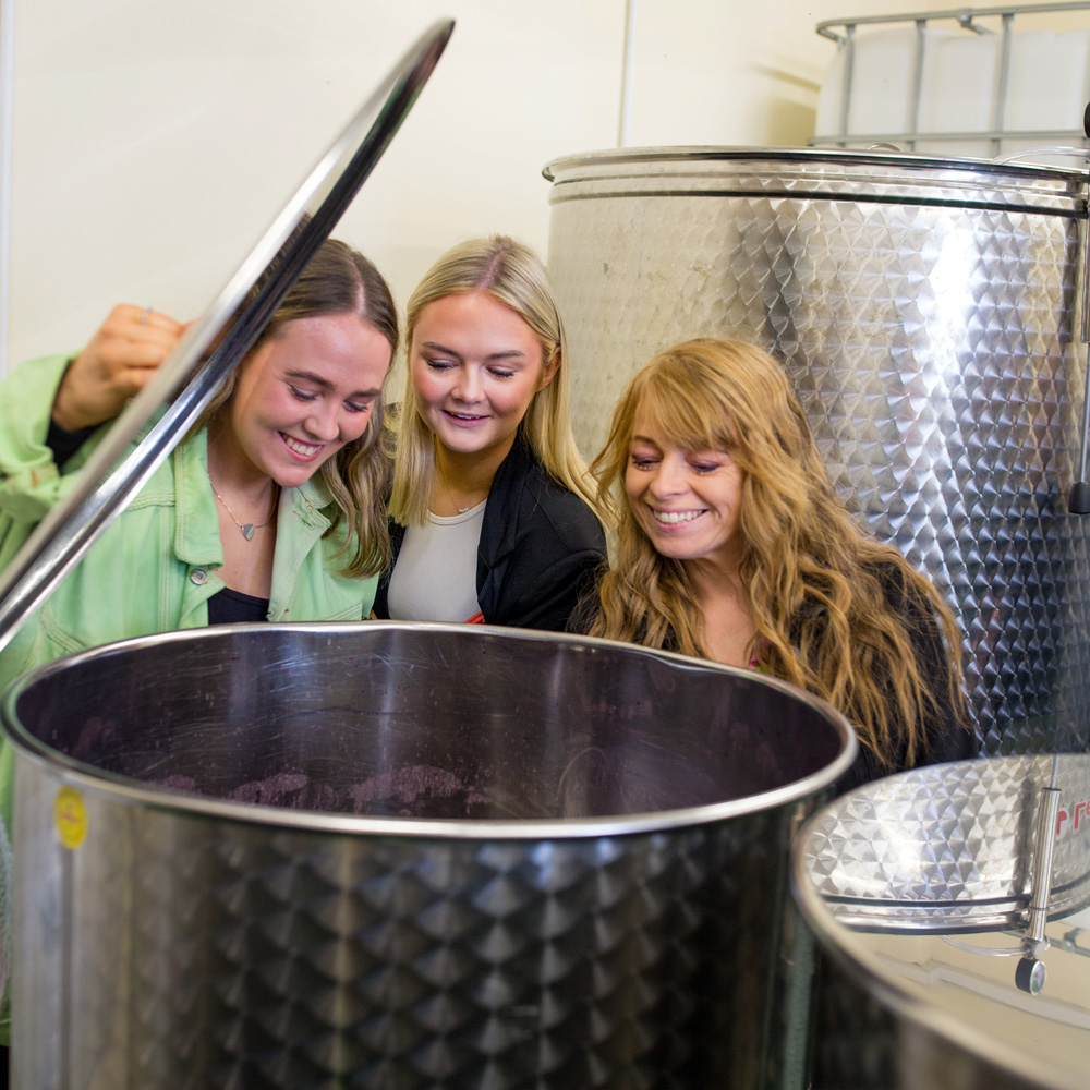 women checking berry wine process in Wicklow wine tour