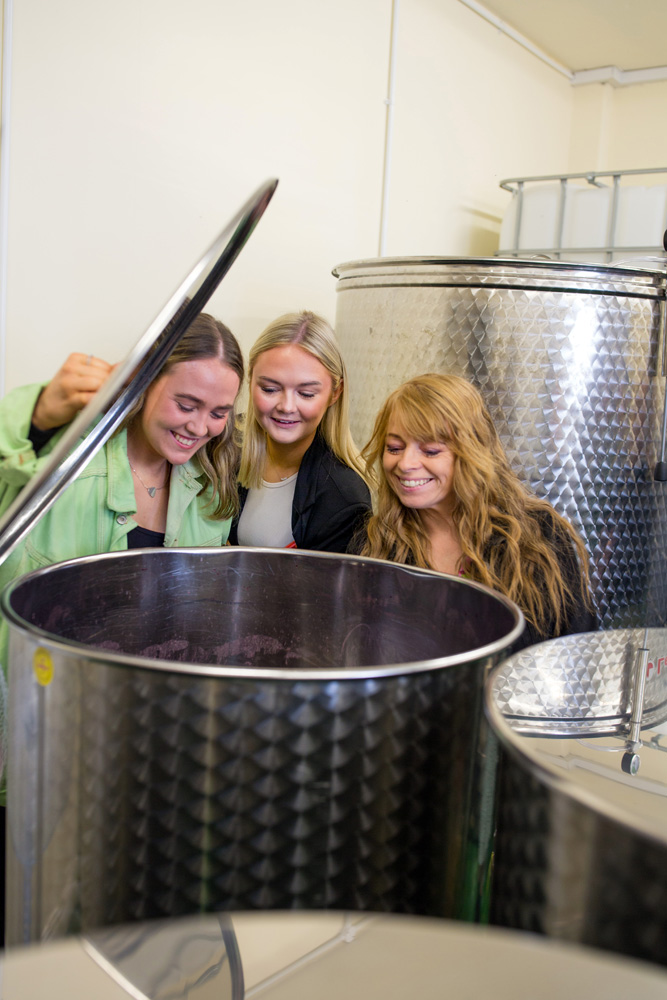 fermentation process at wine tour