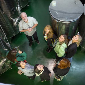 tourist and guide looking up at Wicklow_Wine_Tour