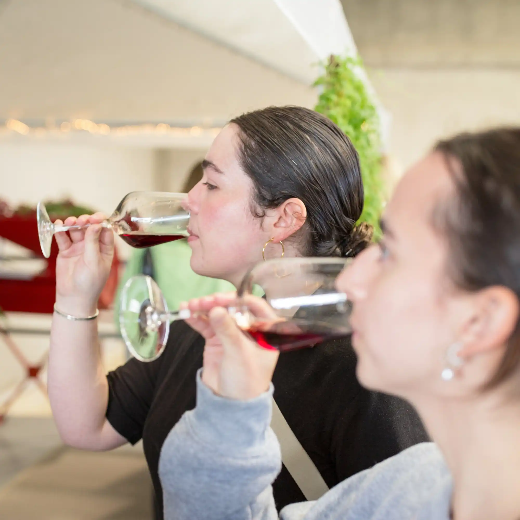 trying berry wines at Wicklow way wines
