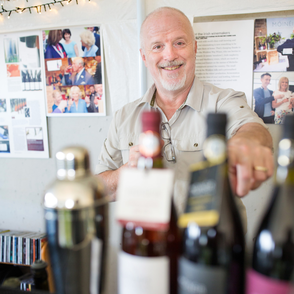 wicklow wine tour guide